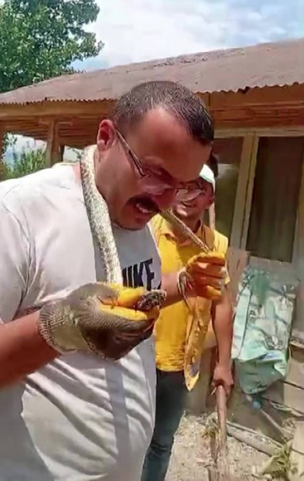 Eve giren yılanı boynuna sardı! 3